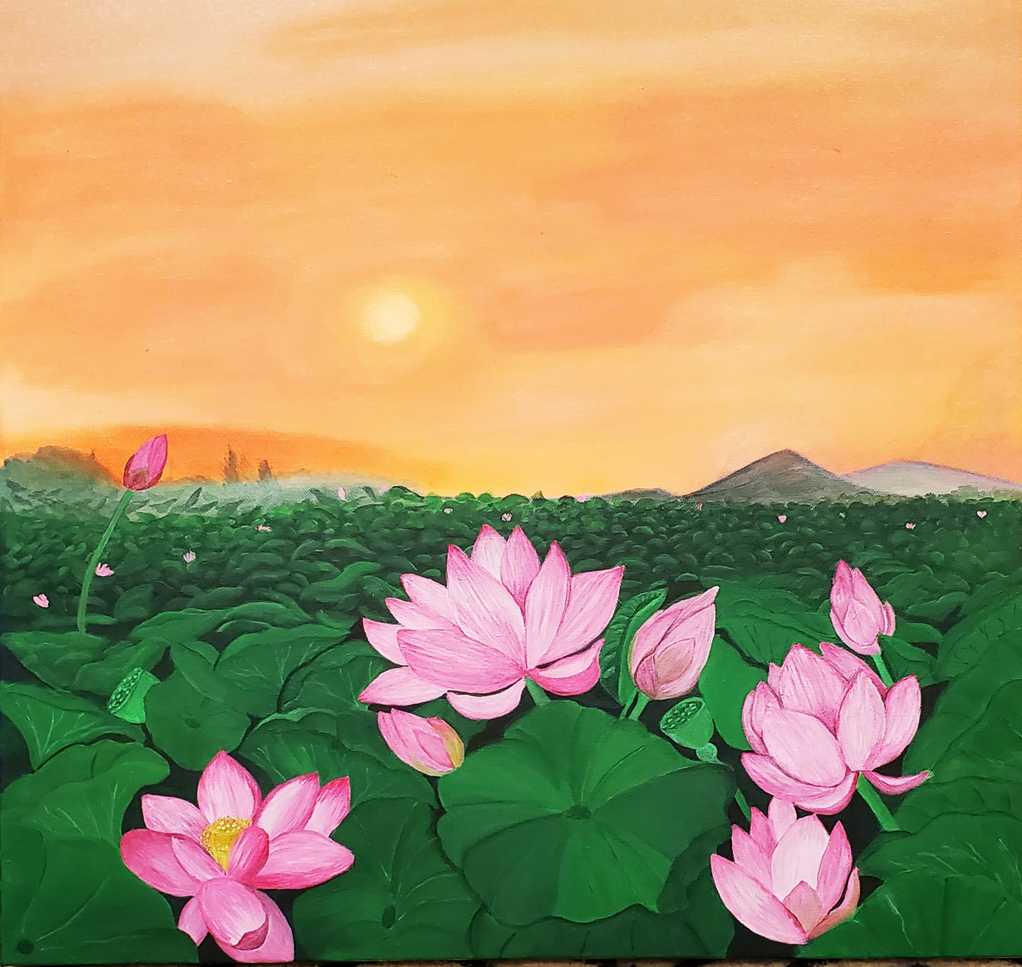 Lotus Pond at dawn